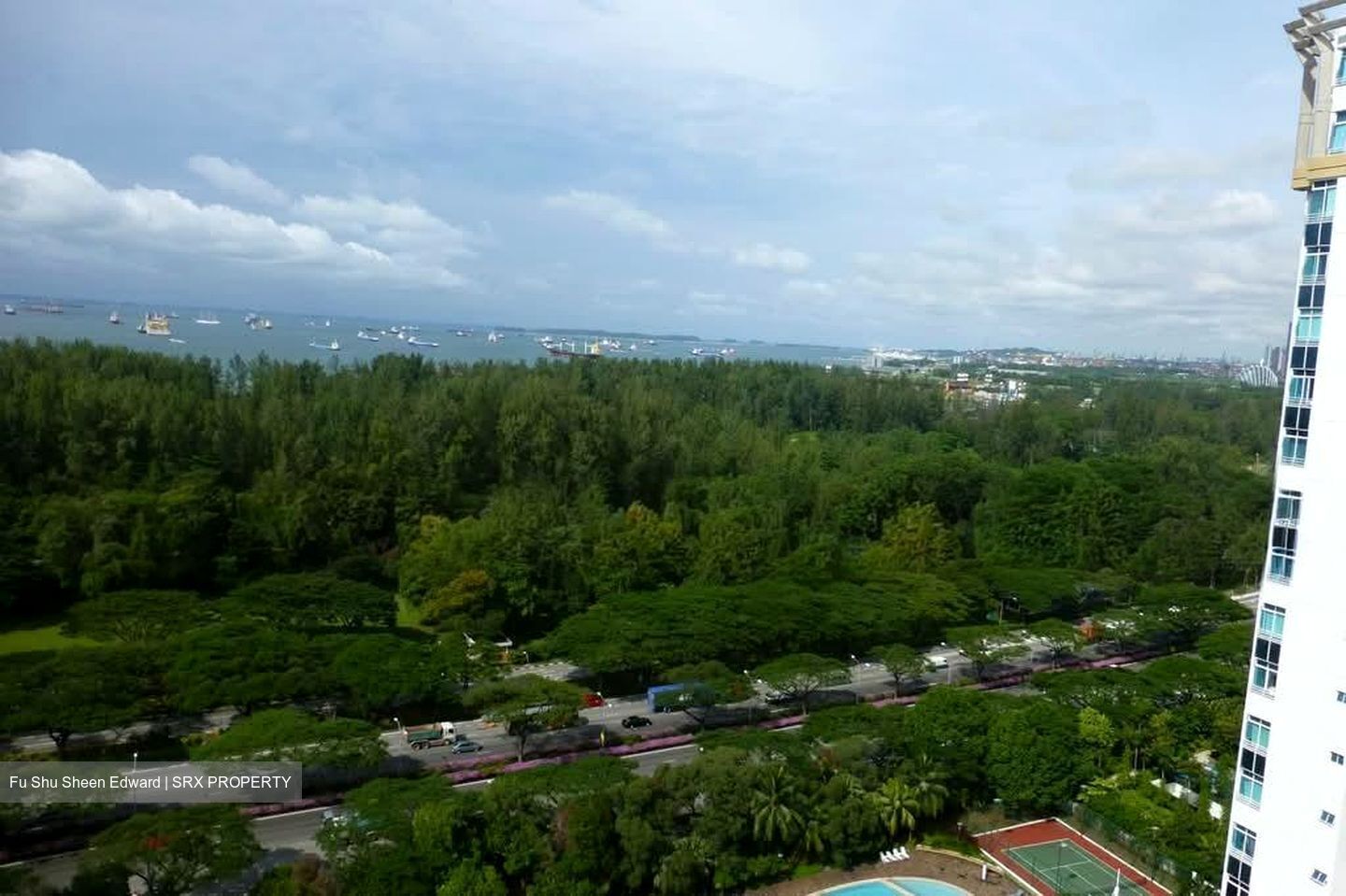Hawaii Tower (D15), Condominium #569215421